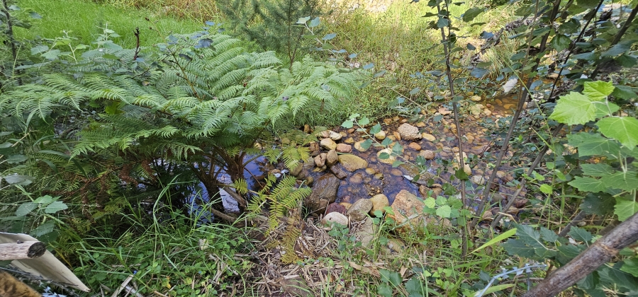 5 Bedroom Property for Sale in Swellendam Western Cape